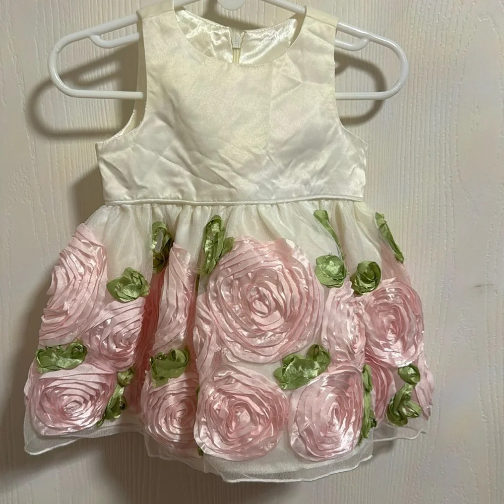 Baby‎ Girl Formal Dress With Beautiful Pink Roses Size 9Months Zip up Sleeveless